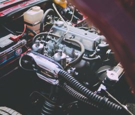 Gallery pexels photo 10108616.jpeg