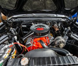 Gallery pexels photo 10866831.jpeg