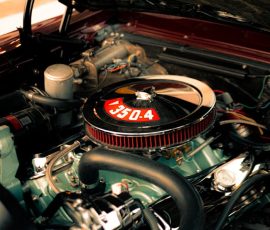 Gallery pexels photo 15496927.jpeg